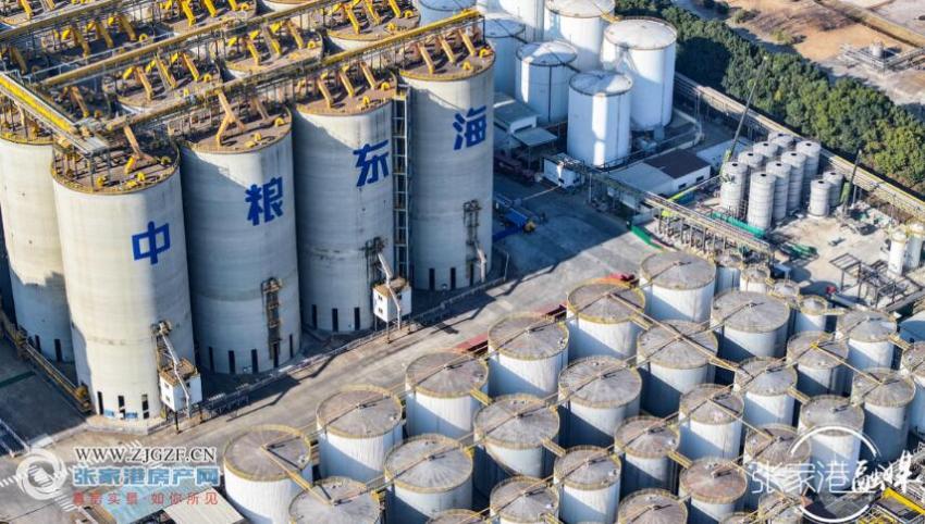 中粮东海粮油15万吨筒仓项目竣工投用，开启粮油仓储新篇章