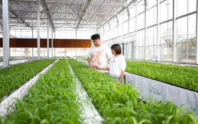 宜宾翠屏 机械化“一条龙”服务 助力北域粮油现代化农业园区发展