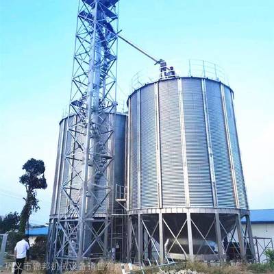 粮食钢板仓 现代化平底仓与粮油仓储服务解析——以3000吨小麦仓、水稻仓为例