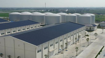 喜报 良友物流集团荣获“首批全国性粮油示范仓储企业”称号，树立行业服务新标杆